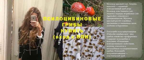 дурь Алексин