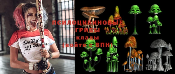 дурь Алексин
